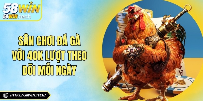 Sân chơi đá gà với 40K lượt theo dõi mỗi ngày