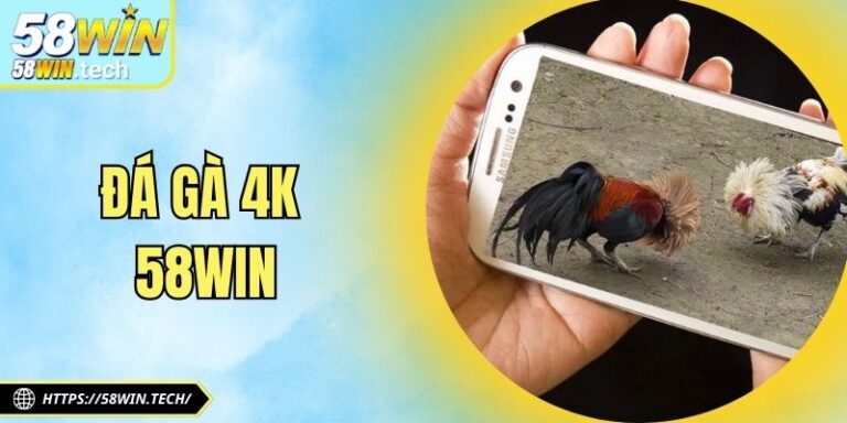 Đá Gà 4K 58Win