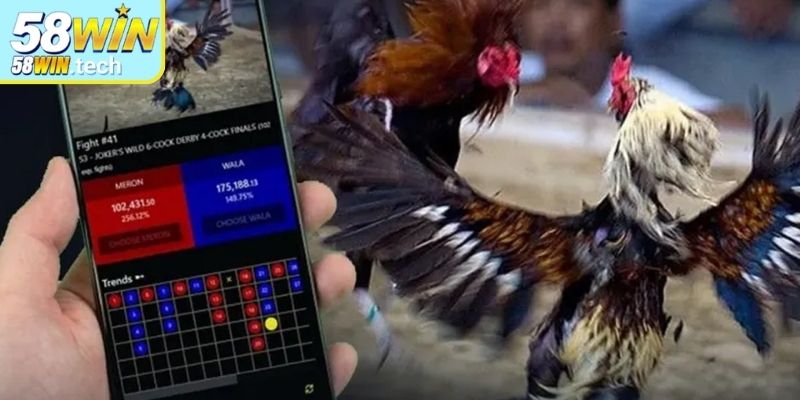 Kinh nghiệm hữu ích khi đặt cược tại đá gà 4K 58Win