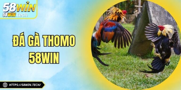 Đá Gà Thomo 58Win