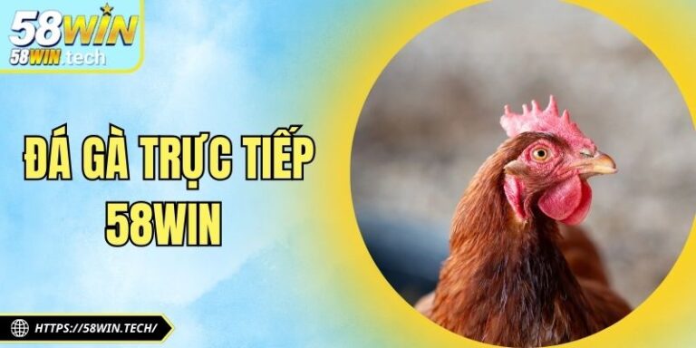 Đá Gà Trực Tiếp 58Win