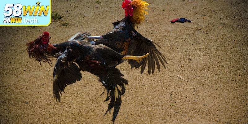 Giao diện tại sảnh theo dõi trực quan, thao tác thuận tiện